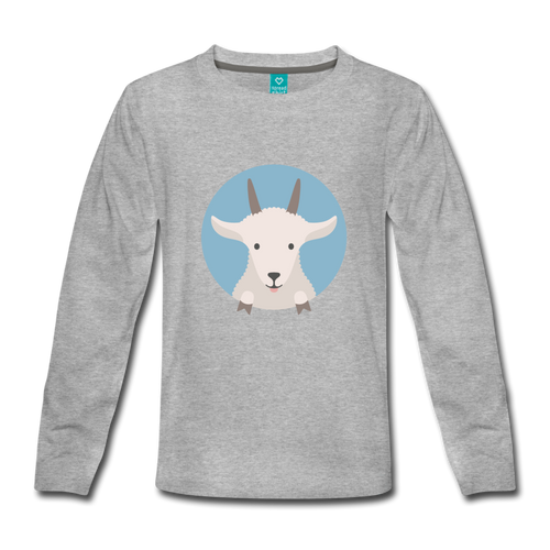 Kids' Premium Long Sleeve T-Shirt - heather gray